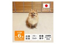カーペット 日本製 抗菌防臭 犬 猫 ペット ビオラ 261×352cm 江戸間 6畳 アイボリー【1640010】