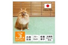 カーペット 日本製 抗菌防臭 犬 猫 ペット ビオラ 176×261cm 江戸間 3畳 グリーン【1640011】