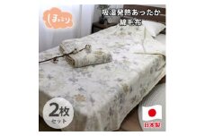 ＜シングル2枚組＞『ほっ』とするやさしい暖かさの綿毛布  SH-36901S-2P【1644244】