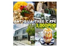 ＜ふるさと納税＞カフェ利用ギフトカード　￥1000×3枚(CW002-SJ)【1640423】