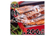 絶品!!国産うなぎ蒲焼き　特大サイズ(約200g)【1659583】
