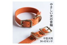 首輪 本革 イタリアンレザー オレンジ 中型犬用 (34-42センチ)ペット用品＜dc-01ss＞【1663249】