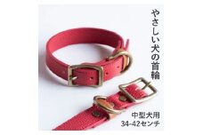 首輪 本革 イタリアンレザー レッド 中型犬用 (34-42センチ)ペット用品＜dc-01ss＞【1663229】