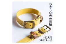 首輪 本革 イタリアンレザー イエロー 中型犬用 (34-42センチ)ペット用品＜dc-01ss＞【1663233】
