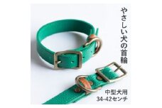 首輪 本革 イタリアンレザー グリーン 中型犬用 (34-42センチ)ペット用品＜dc-01ss＞【1663236】