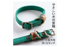 首輪 本革 イタリアンレザー グリーン 小型犬用 (26-32センチ)ペット用品＜dc-01ss＞【1663095】