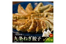 大阪府和泉市産の九条ネギを使用した冷凍餃子　48個入×2パック(計96個)　道の駅で大好評!【1182130】