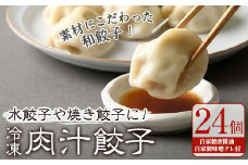 肉汁餃子(24個)【m31-04】【FROZEN Lab.】