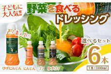 自家製フレッシュドレッシング6本セット(全4種類)【m45-05-A】【Fun Fun Kitchen】
