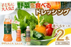 ＜お試し＞自家製フレッシュドレッシング にんじん2種セット(ゆずにんじん・ごま/計2本)【m45-06-A】【Fun Fun Kitchen】