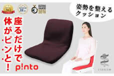 ＜brown＞姿勢を整えるクッションp!nto【m44-02-C】【ピーエーエス】
