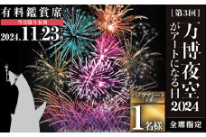 ＜パノラマシート(子供)＞万博夜空がアートになる日2024 鑑賞チケット(1枚・1名様分)【m62-04-A】【ディヴォーション】