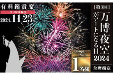 ＜パノラマシート(大人)＞万博夜空がアートになる日2024 鑑賞チケット(1枚・1名様分)【m62-03-B】【ディヴォーション】