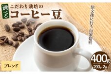 こだわり栽培のコーヒー豆(ブレンド)(計400g・200g×2袋)【m70-05】【N BLOOD COFFEE ROASTERS】