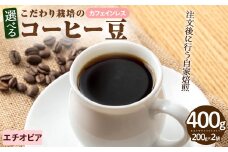 ＜カフェインレス＞こだわり栽培のコーヒー豆(エチオピア)(計400g・200g×2袋)【m70-07】【N BLOOD COFFEE ROASTERS】