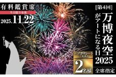 ＜パノラマシート(大人)＞万博夜空がアートになる日2025 鑑賞チケット(1枚・2名様分)【m62-03-2A】【ディヴォーション】