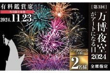 ＜パノラマシート(子供)＞万博夜空がアートになる日2025 鑑賞チケット(1枚・2名様分)【m62-04-2A】【ディヴォーション】