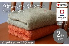 今治ふんわり雲羽タオル フェイスタオルセット(テラコッタ&ピスタチオグレー・各1枚) 【m100-14-C】【トクダ】