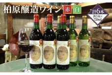 ワイン 柏原醸造ワイン 赤 白 辛口 6本 セット お楽しみ 詰め合わせ 酒 お酒 赤ワイン 白ワイン 国産 アルコール 
