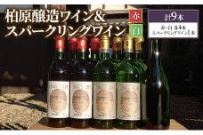 ワイン 柏原醸造ワイン 赤 白 辛口 ＆人気の スパークリングワイン 合計 9本 セット お楽しみ 詰め合わせ スパークリング 酒 お酒 赤ワイン 白ワイン 国産 アルコール 