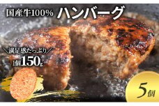 国産牛100％！【牛壱】国産ハンバーグ 5個