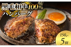 【牛壱】黒毛和牛ハンバーグ5個