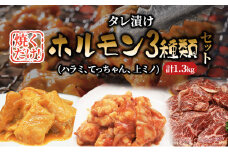 タレ漬けホルモンセット　1.3kg