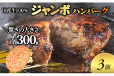 【牛壱】国産牛100％ ジャンボハンバーグ 3個　300g×3個