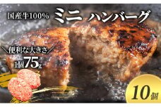 【牛壱】国産牛100％ ミニハンバーグ 75g×10個