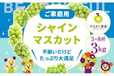 ＜2024年先行予約＞【家庭用】完熟シャインマスカット 3kg