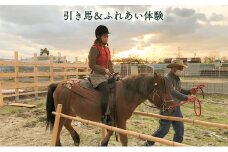 引き馬＆ふれあい体験
