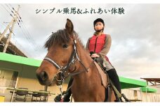 シンプル乗馬＆ふれあい体験