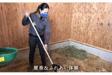 厩務＆ふれあい体験