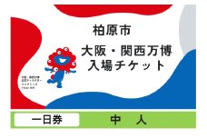 【一日券】2025年日本国際博覧会入場チケット（中人）