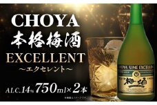 CHOYA 本格梅酒 EXCELLENT エクセレント 750ml × 2本 羽曳野商工振興株式会社《30日以内に出荷予定(土日祝除く)》大阪府 羽曳野市 送料無料 梅酒 梅 酒 CHOYA チョーヤ チョーヤ梅酒 お酒 紀州 南高梅