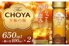 The CHOYA 至極の梅 650ml × 2本 羽曳野商工振興株式会社《30日以内に出荷予定(土日祝除く)》大阪府 羽曳野市 送料無料 梅酒 梅 酒 CHOYA チョーヤ チョーヤ梅酒 お酒 紀州 南高梅