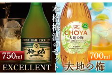 THE CHOYA 大地の梅 700ml EXCELLENT エクセレント 750ml 計2本 セット 飲み比べ 羽曳野商工振興株式会社《30日以内に出荷予定(土日祝除く)》大阪府 羽曳野市 送料無料 梅酒 梅 酒 CHOYA チョーヤ チョーヤ梅酒 お酒 紀州 南高梅