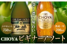 CHOYA ビギナーアソート TheCHOYA　熟成一年 700ml エクセレント 750ml 計2本 セット 飲み比べ 羽曳野商工振興株式会社《30日以内に出荷予定(土日祝除く)》大阪府 羽曳野市 送料無料 梅酒 梅 酒 CHOYA チョーヤ チョーヤ梅酒 お酒 紀州 南高梅