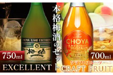 The CHOYA CRAFT FRUIT 700ml EXCELLENT エクセレント 750ml 計2本 セット 飲み比べ 羽曳野商工振興株式会社《30日以内に出荷予定(土日祝除く)》大阪府 羽曳野市 送料無料 梅酒 梅 酒 CHOYA チョーヤ チョーヤ梅酒 お酒 紀州 南高梅