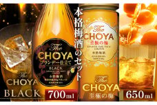 The CHOYA BLACK 700ml The CHOYA 至極の梅 650ml 計2本 セット 飲み比べ 羽曳野商工振興株式会社《30日以内に出荷予定(土日祝除く)》大阪府 羽曳野市 送料無料 梅酒 梅 酒 CHOYA チョーヤ チョーヤ梅酒 お酒 紀州 南高梅 black