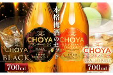 The CHOYA BLACK 700ml The CHOYA CRAFT FRUIT 700ml 計2本 セット 飲み比べ 羽曳野商工振興株式会社《30日以内に出荷予定(土日祝除く)》大阪府 羽曳野市 送料無料 梅酒 梅 酒 CHOYA チョーヤ チョーヤ梅酒 お酒 紀州 南高梅 black