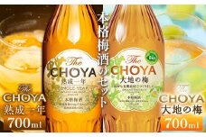 The CHOYA 熟成一年 700ml The CHOYA 大地の梅 700ml 計2本 セット 飲み比べ 羽曳野商工振興株式会社《30日以内に出荷予定(土日祝除く)》大阪府 羽曳野市 送料無料 梅酒 梅 酒 CHOYA チョーヤ チョーヤ梅酒 お酒 紀州 南高梅
