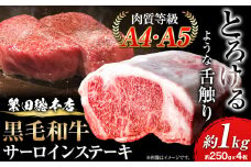 黒毛和牛 サーロインステーキ A4・A5ランク 1kg 約250g×4枚 株式会社 繁田総本店《30日以内に出荷予定(土日祝除く)》大阪府 羽曳野市 送料無料 牛肉 牛 国産 黒毛和牛 サーロイン ステーキ 牛サーロイン  x-1