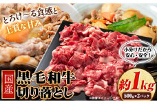 国産黒毛和牛切り落とし 約1kg(500g×2) 株式会社WiN《30日以内に出荷予定(土日祝除く)》大阪府 羽曳野市 送料無料 黒毛和牛 和牛 牛肉 牛 国産 切り落とし