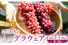 【先行予約】高糖度！ こだわりのデラウェア 約1.3kg~1.4kg (6~8房) 優樹農園《6月下旬-7月上旬頃出荷》大阪府 羽曳野市 デラウェア 葡萄 ぶどう 果物 フルーツ