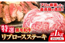 黒毛和牛 特選 リブロースステーキ 250g × 4枚 エムエスエイ (株)《30日以内に出荷予定(土日祝除く)》大阪府 羽曳野市 送料無料 リブロース ステーキ ロース 牛 和牛 牛肉