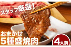  おまかせ5種盛焼肉セット4人前 800gマンノ精肉店《30日以内に出荷予定(土日祝除く)》大阪府 羽曳野市 送料無料 牛肉 セット ギフト 贈答用 焼肉 焼き肉 BBQ プレゼント 食べ比べ