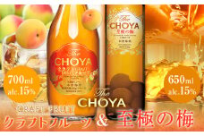 THE CHOYA CRAFT FRUIT 700ml 至極の梅 650ml 計2本 セット 飲み比べ 羽曳野商工振興株式会社《30日以内に出荷予定(土日祝除く)》大阪府 羽曳野市 送料無料 梅酒 梅 酒 CHOYA チョーヤ チョーヤ梅酒 お酒 クラフトフルーツ クラフト 至極の梅