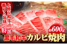 黒毛和牛 特選 カルビ 焼肉 約600g《30日以内に出荷予定(土日祝除く)》大阪府 羽曳野市 送料無料 牛肉 牛 和牛 焼き肉用 焼き肉
