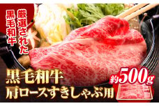黒毛和牛 肩ロース すき焼き しゃぶしゃぶ 用 約 約500g《30日以内に出荷予定(土日祝除く)》大阪府 羽曳野市 すき焼き用 しゃぶしゃぶ用 ロース 牛 和牛 牛肉